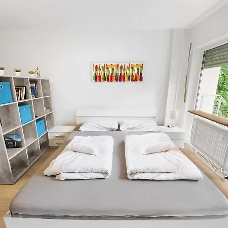 Little Black Forest Garden