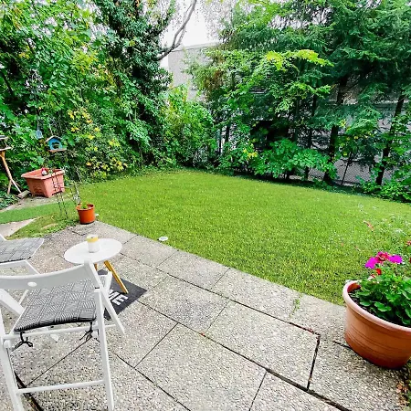 Little Black Forest Garden