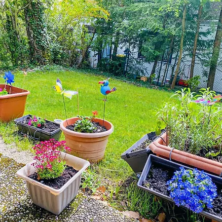 Little Black Forest Garden Pforzheim